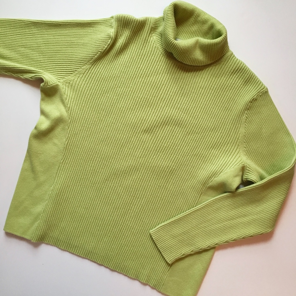Coldwater Creek boxy turtleneck sweater